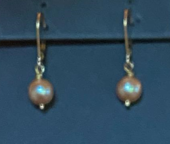 Freshwater Pearl Earrings