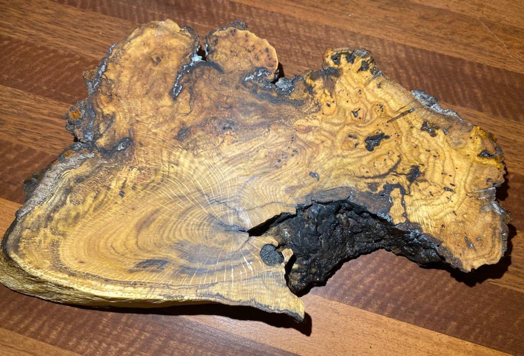 Oak Burl Charcuterie Board